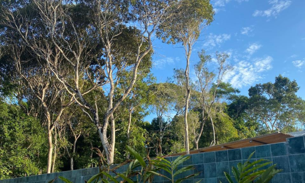 Fotos Casa Rouxino (14)
