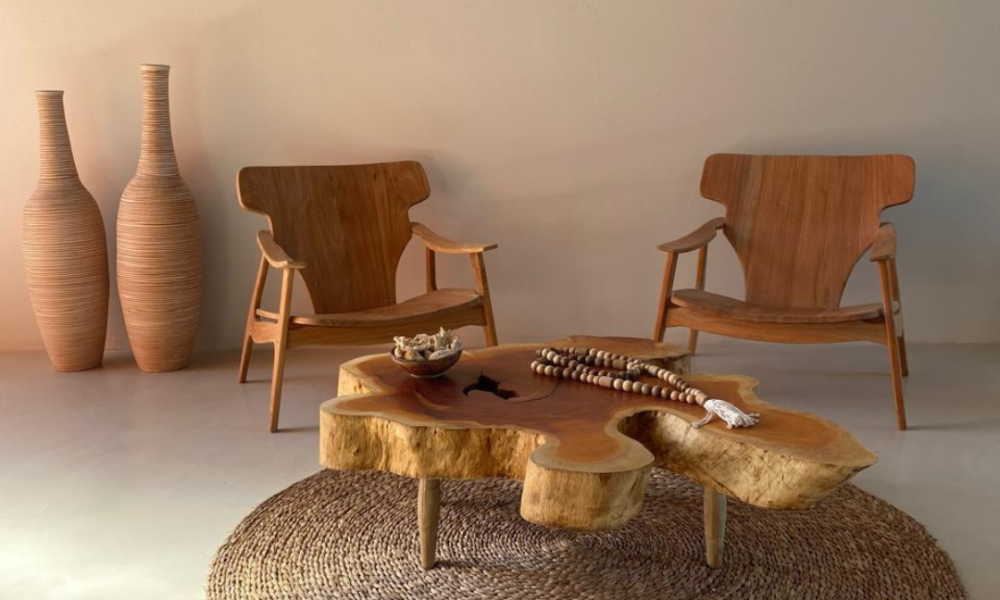 Fotos Casa Rouxino (3)