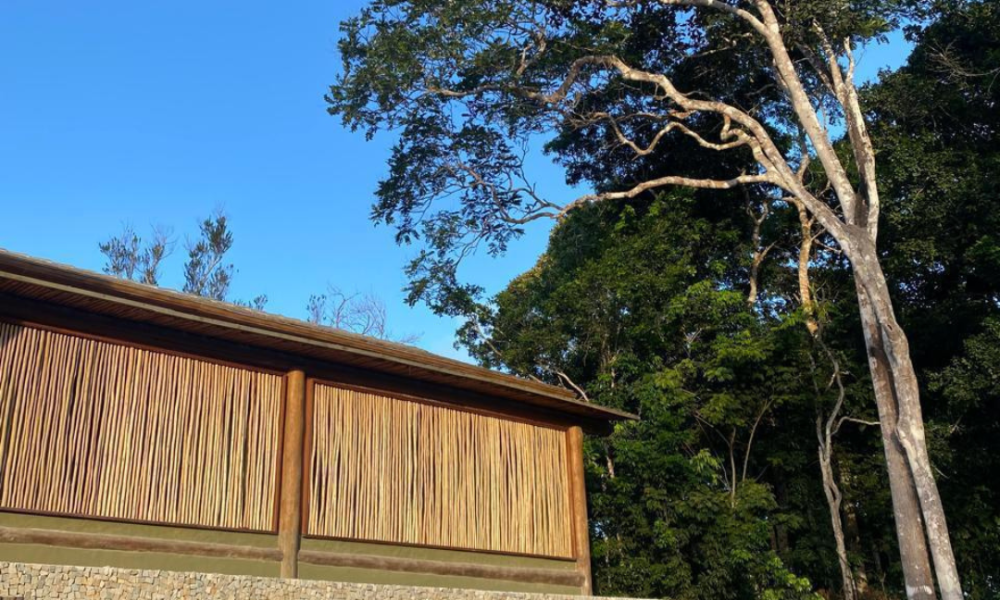 Fotos Casa Rouxino (42)